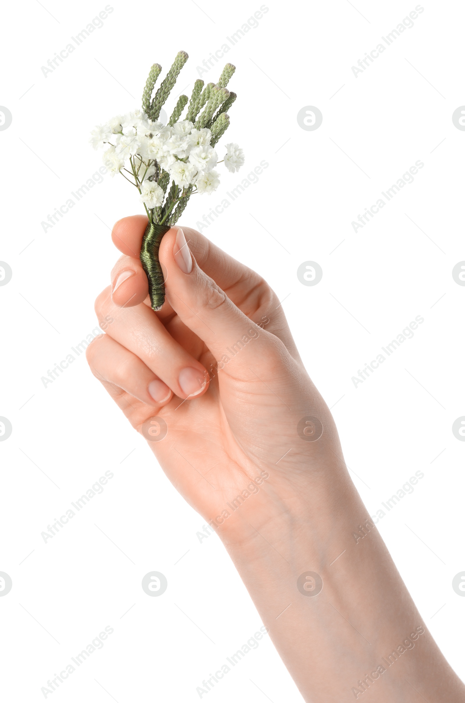 Photo of Woman holding stylish boutonniere on white background, closeup