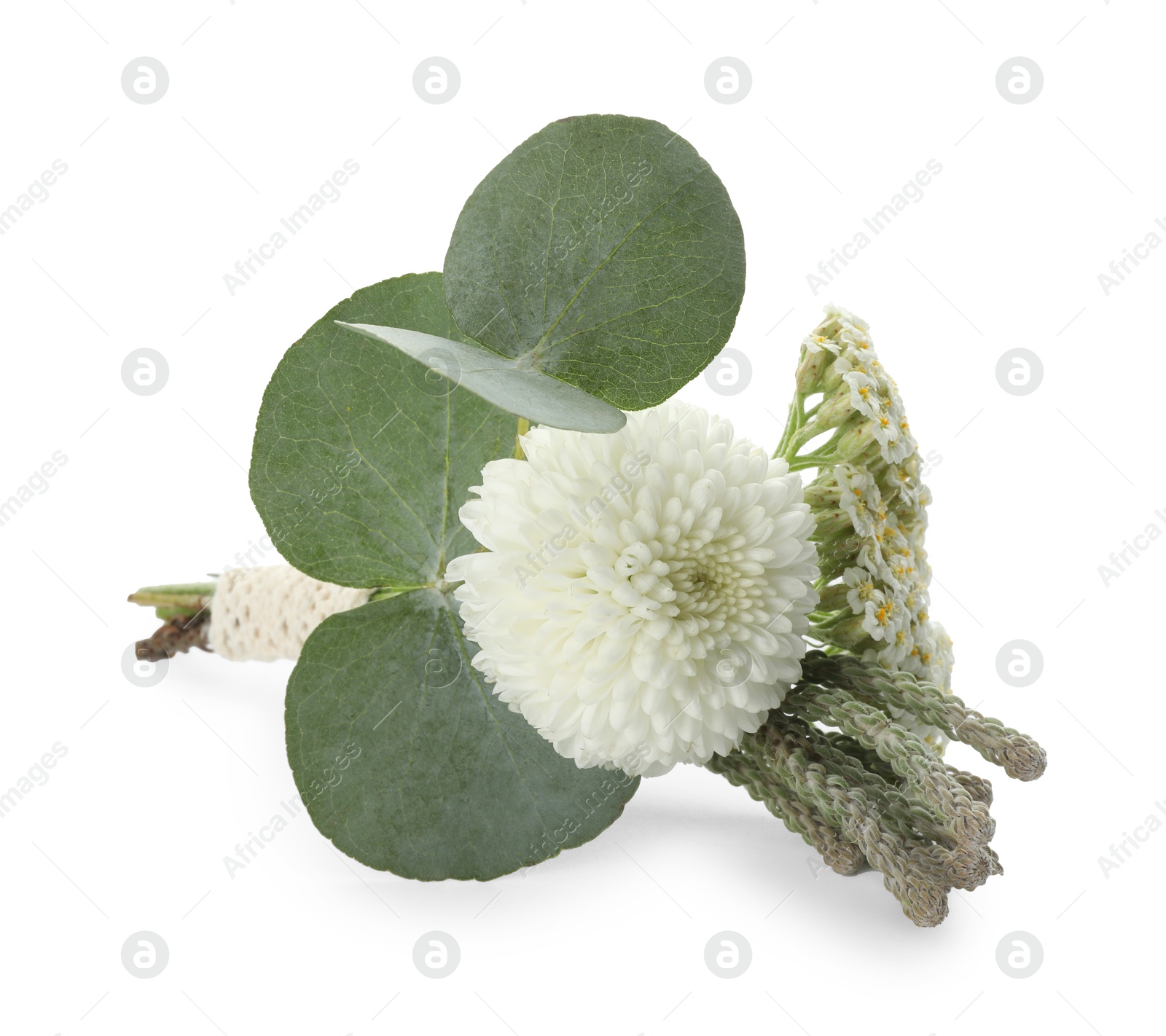 Photo of One small stylish boutonniere isolated on white