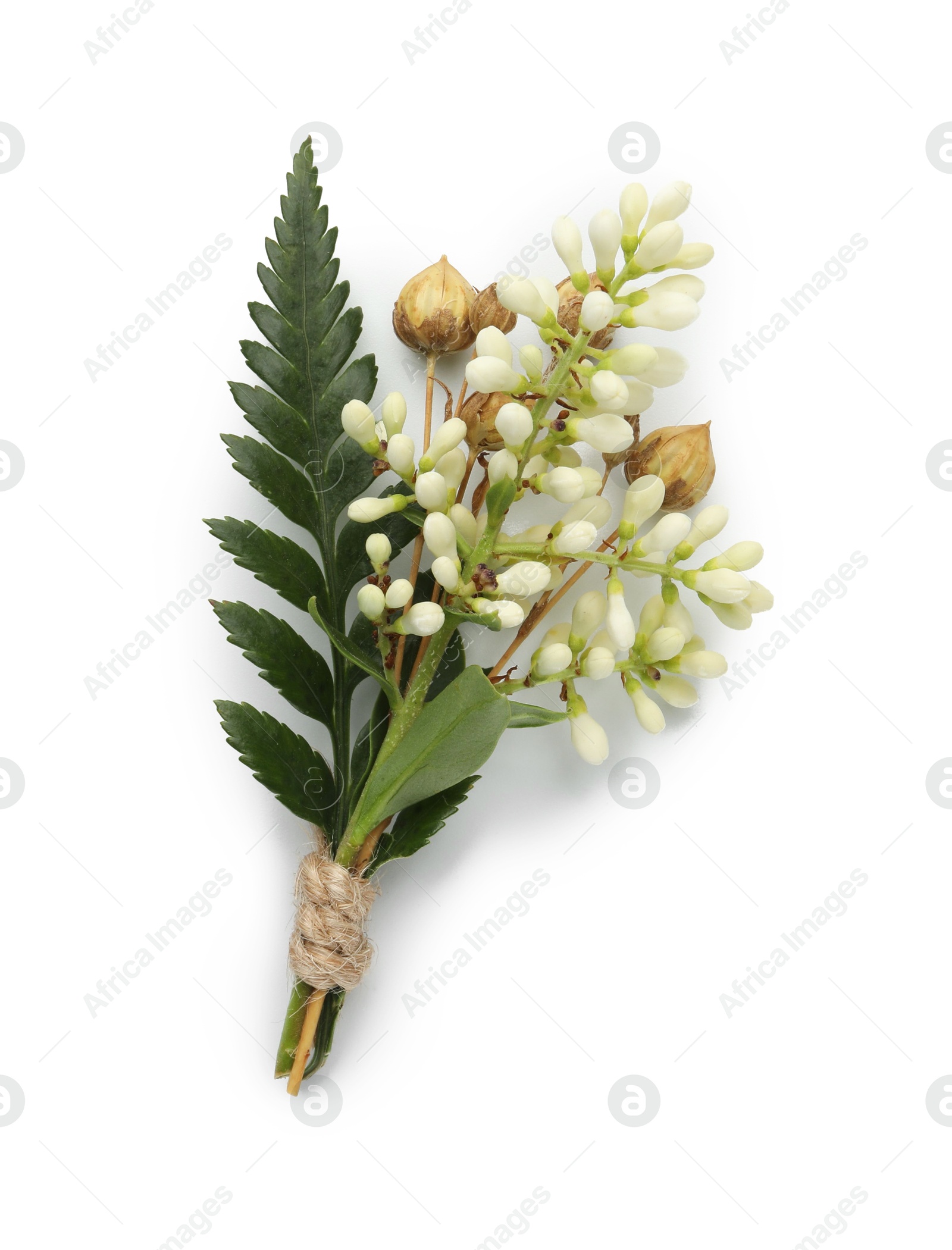 Photo of One small stylish boutonniere isolated on white, top view