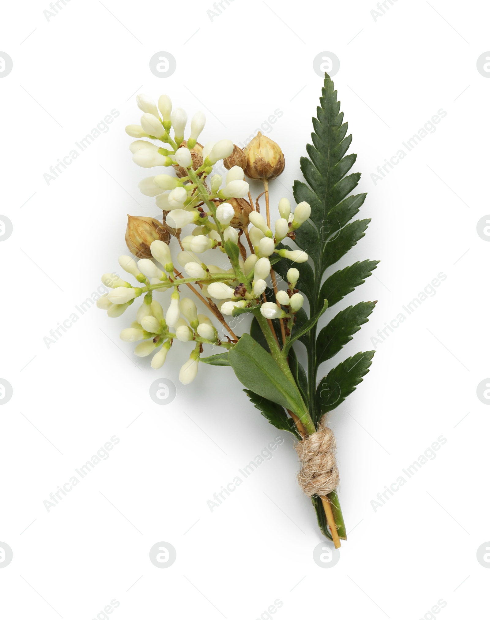 Photo of One small stylish boutonniere isolated on white, top view