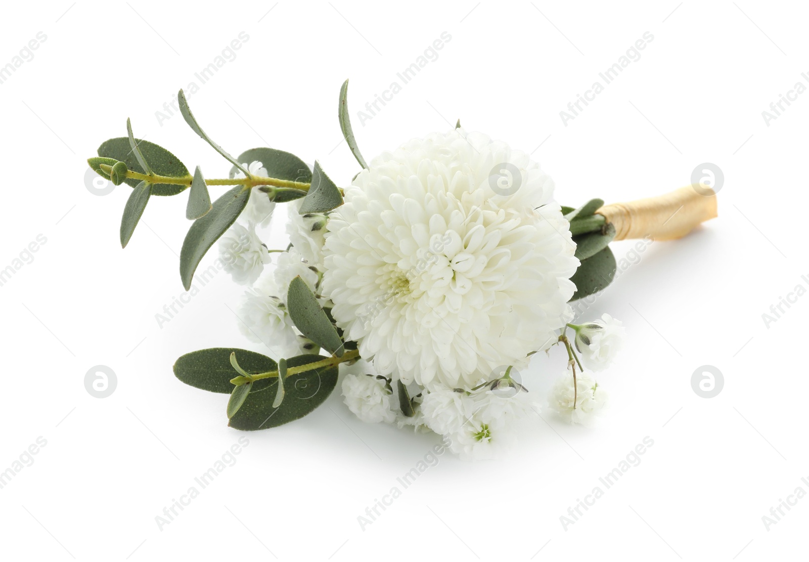 Photo of One small stylish boutonniere isolated on white
