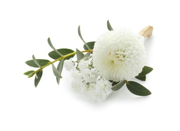 One small stylish boutonniere isolated on white