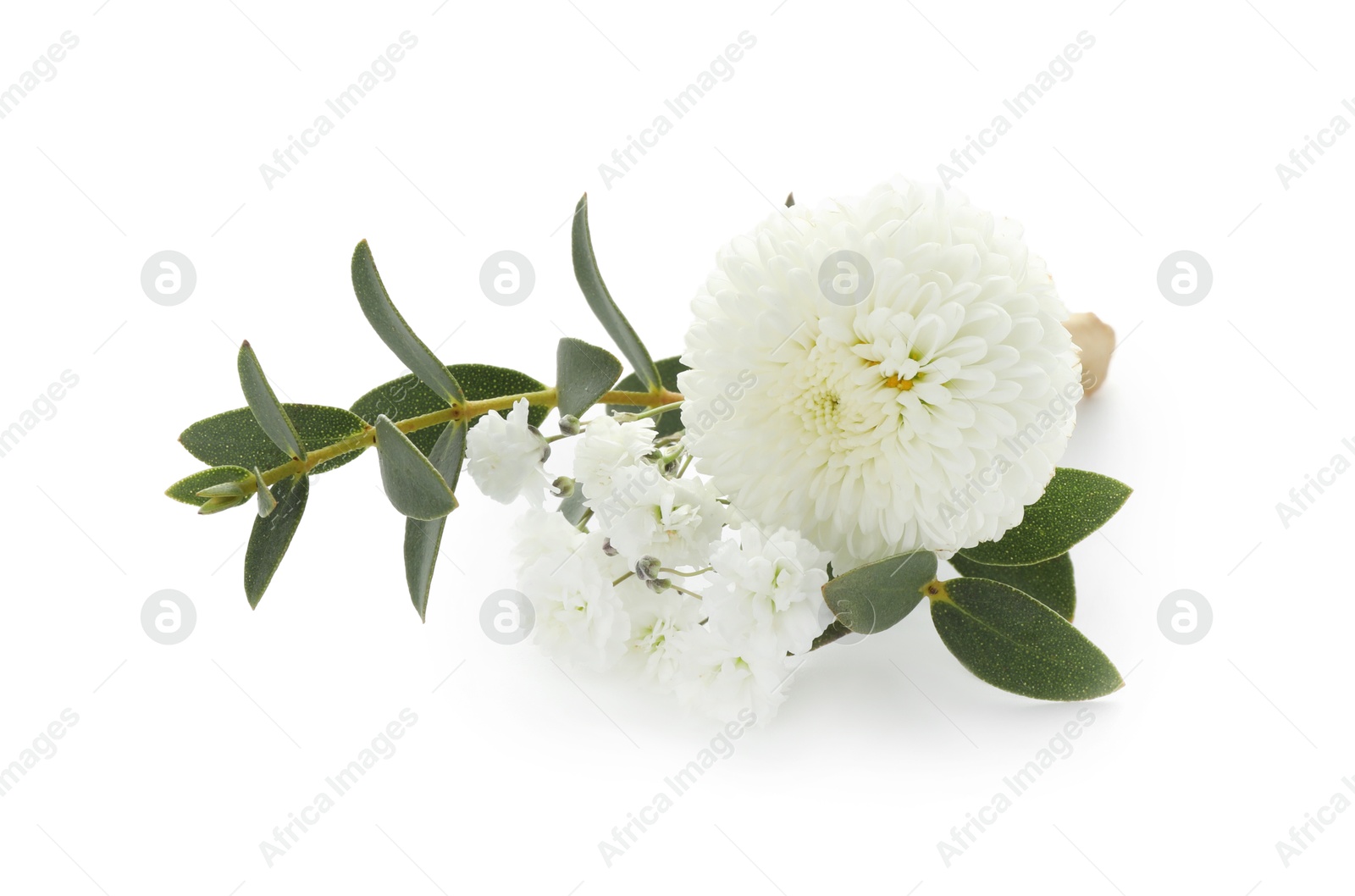 Photo of One small stylish boutonniere isolated on white