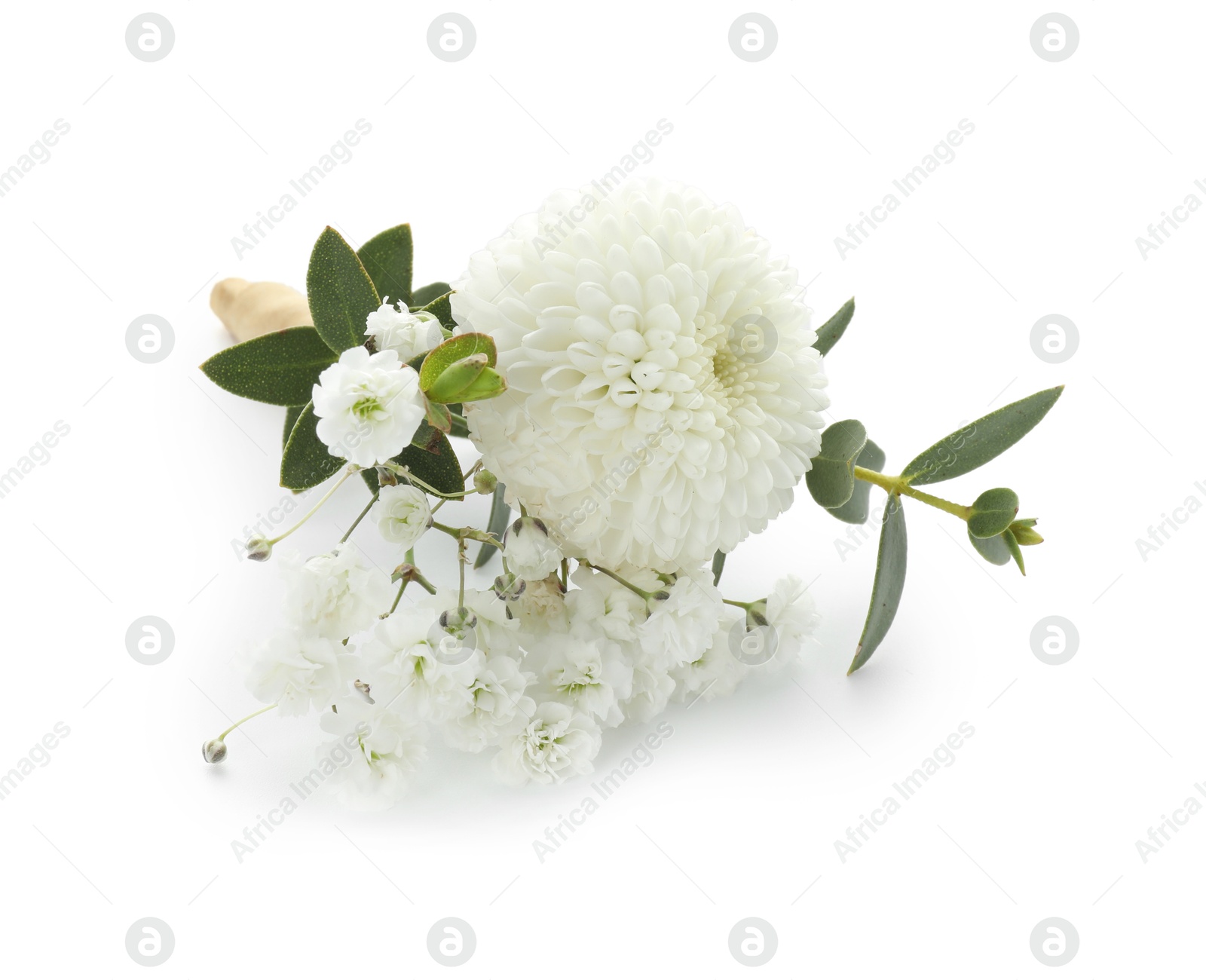 Photo of One small stylish boutonniere isolated on white