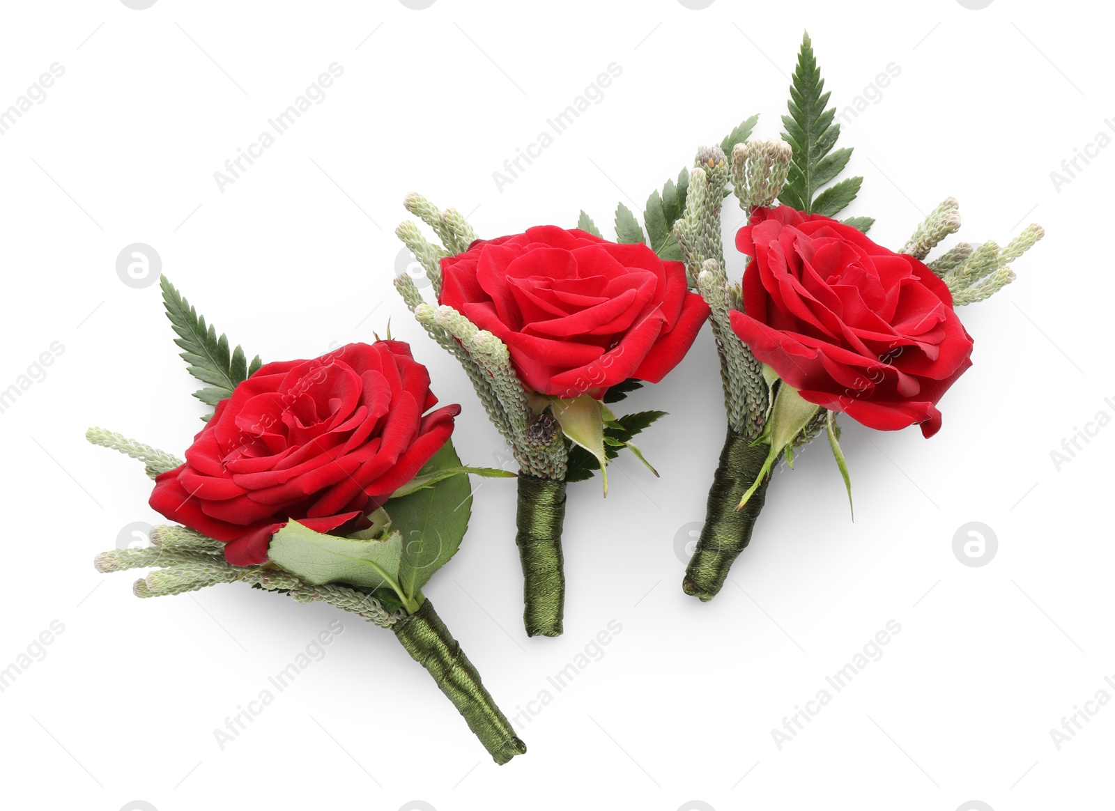 Photo of Many stylish red boutonnieres isolated on white