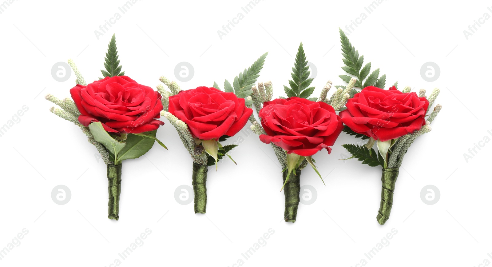 Photo of Many stylish red boutonnieres isolated on white