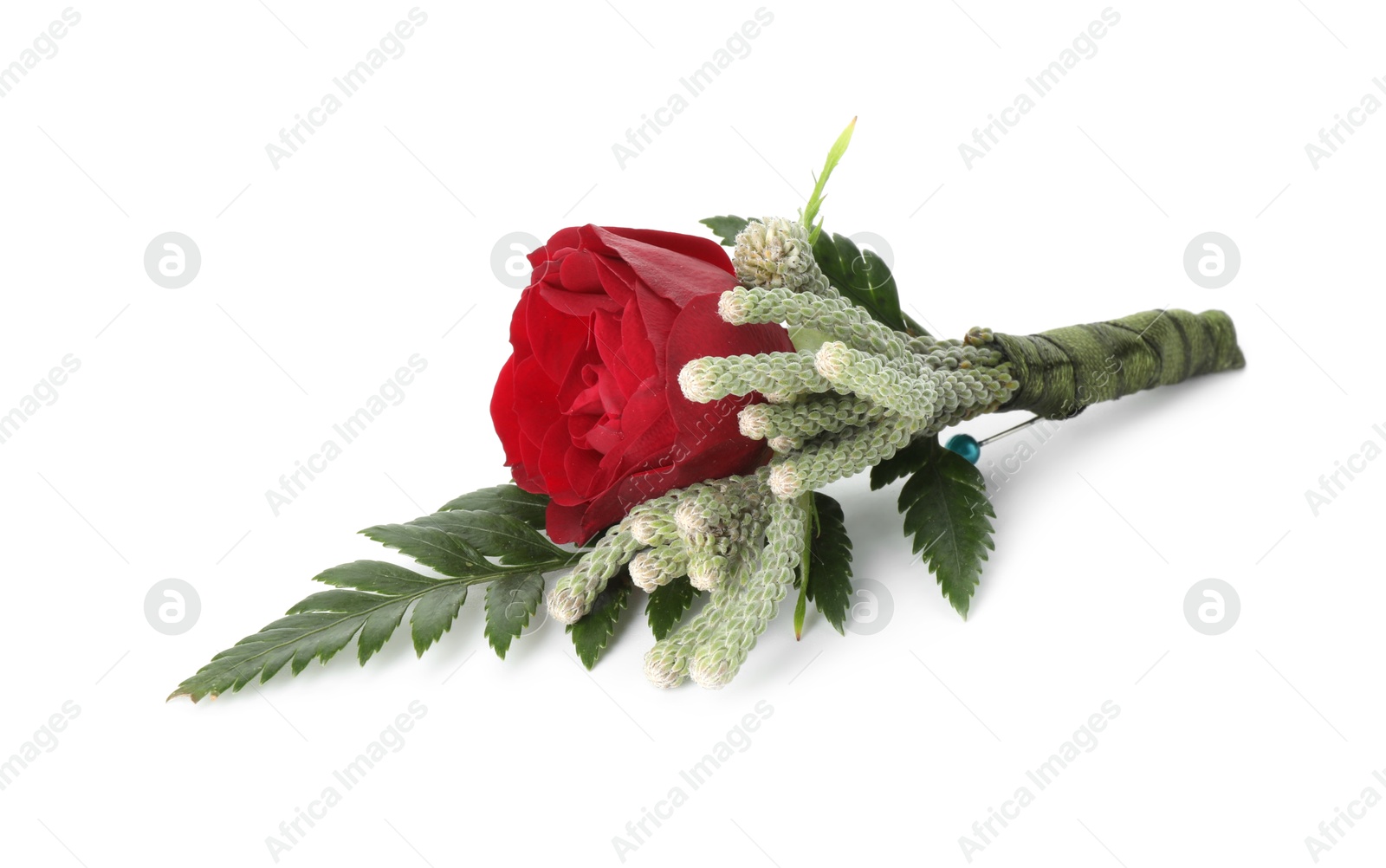 Photo of One stylish red boutonniere isolated on white