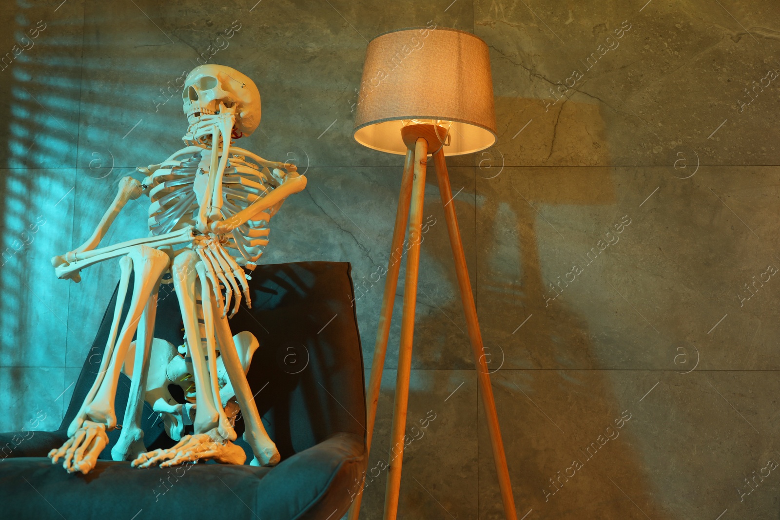 Photo of Waiting concept. Human skeleton sitting in armchair indoors, space for text