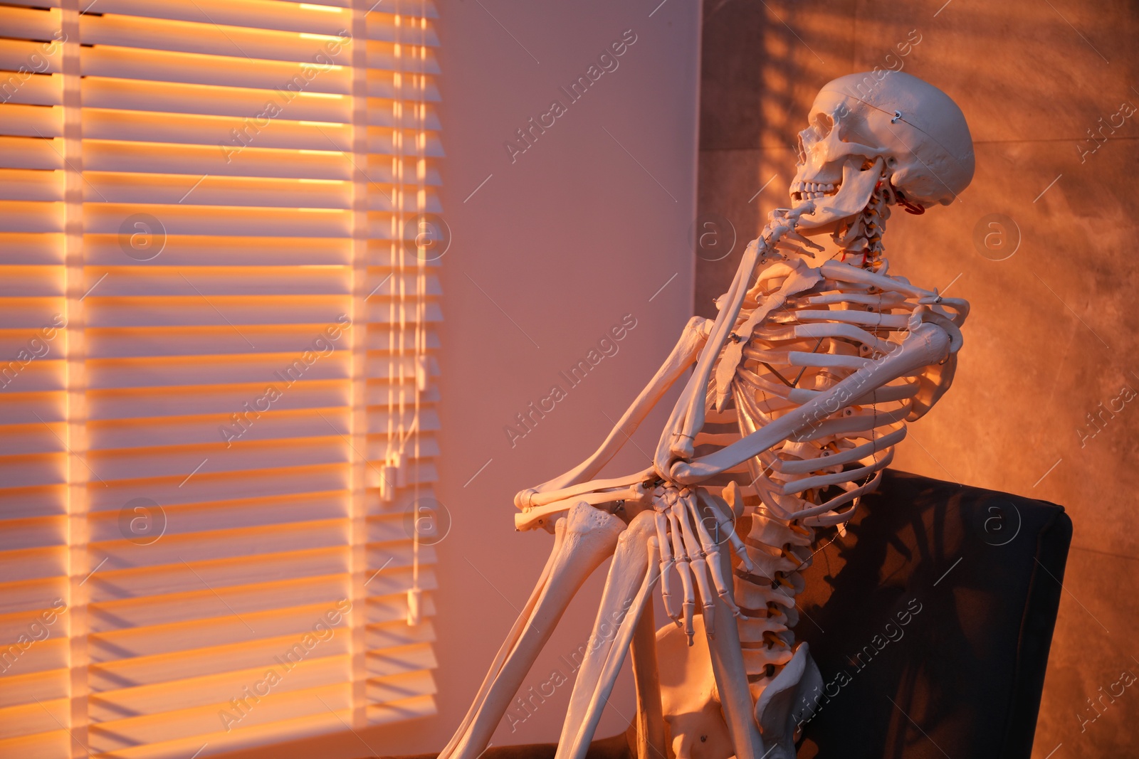 Photo of Waiting concept. Human skeleton sitting in armchair indoors, space for text