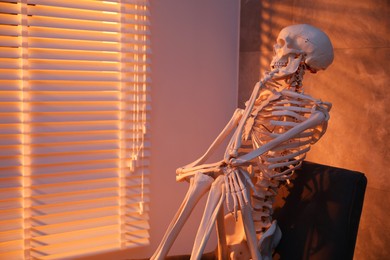 Waiting concept. Human skeleton sitting in armchair indoors, space for text