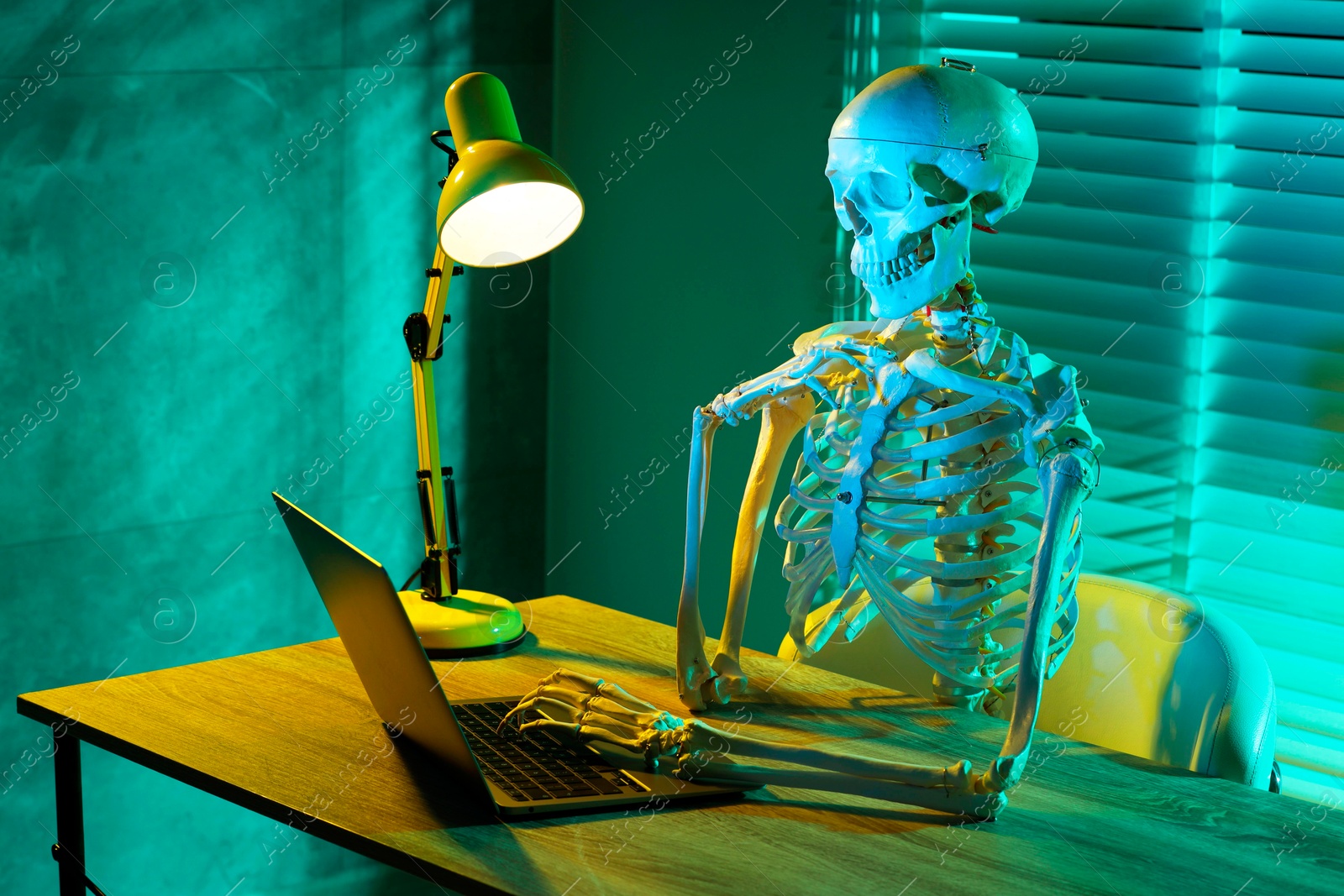 Photo of Waiting concept. Human skeleton sitting at wooden table with laptop indoors