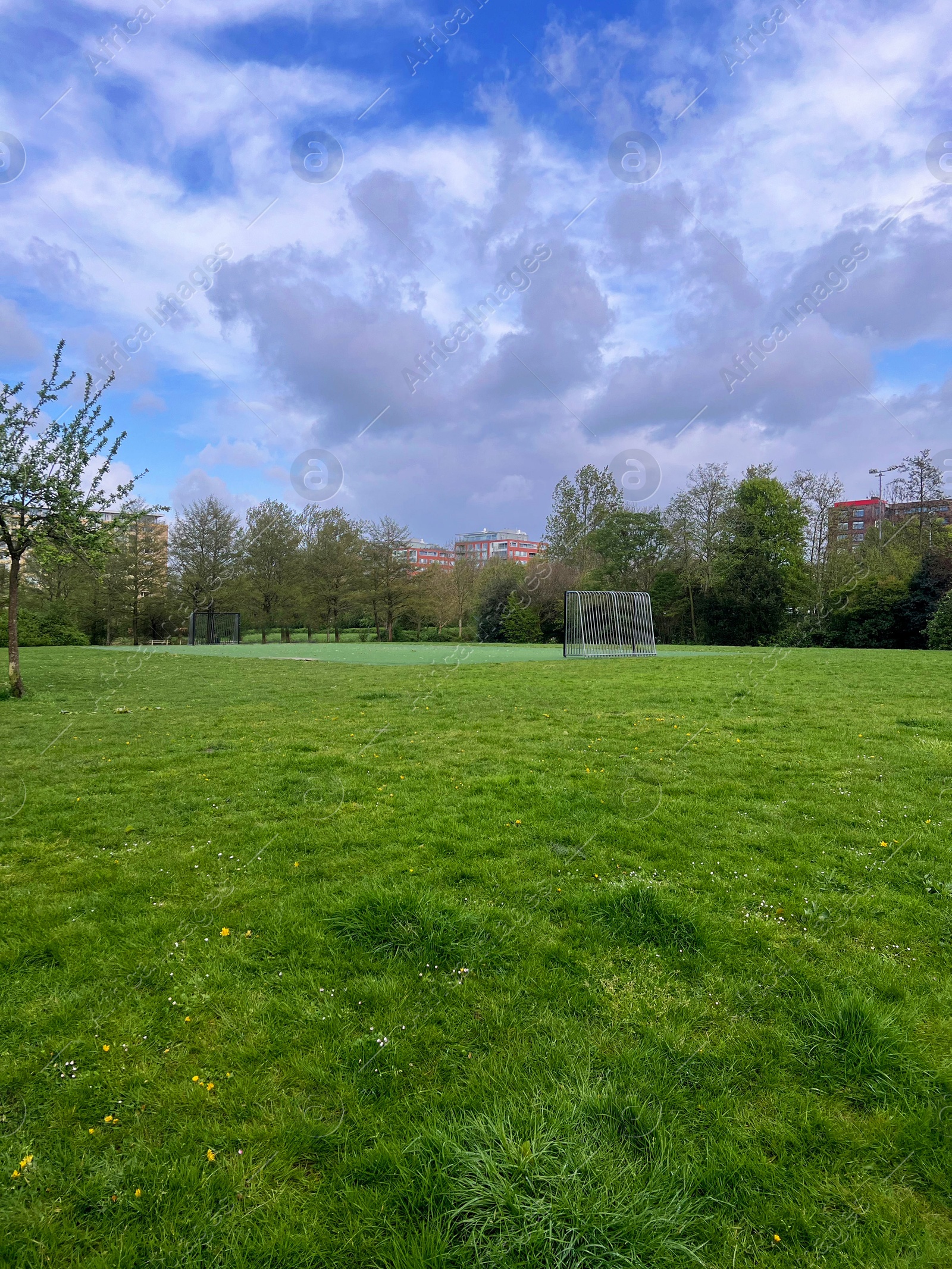 Photo of Beautiful view of park with green grass on sunny day