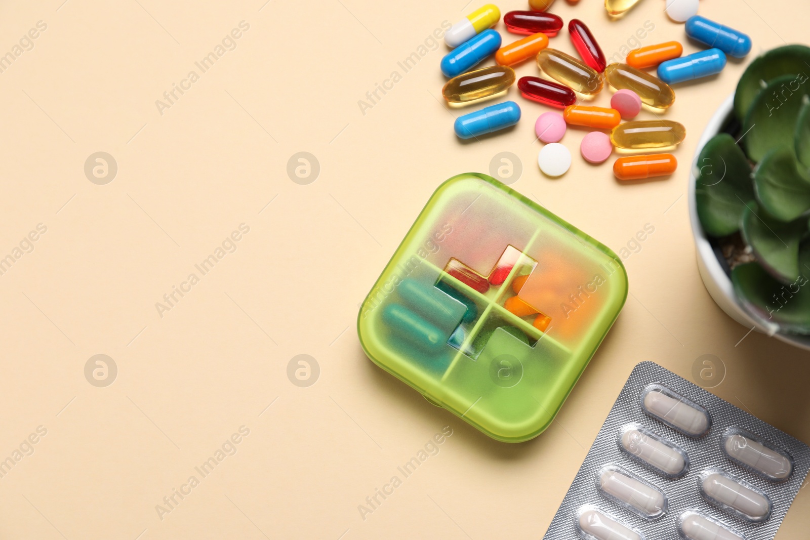 Photo of Different pills, organizer and succulent on beige background, flat lay. Space for text