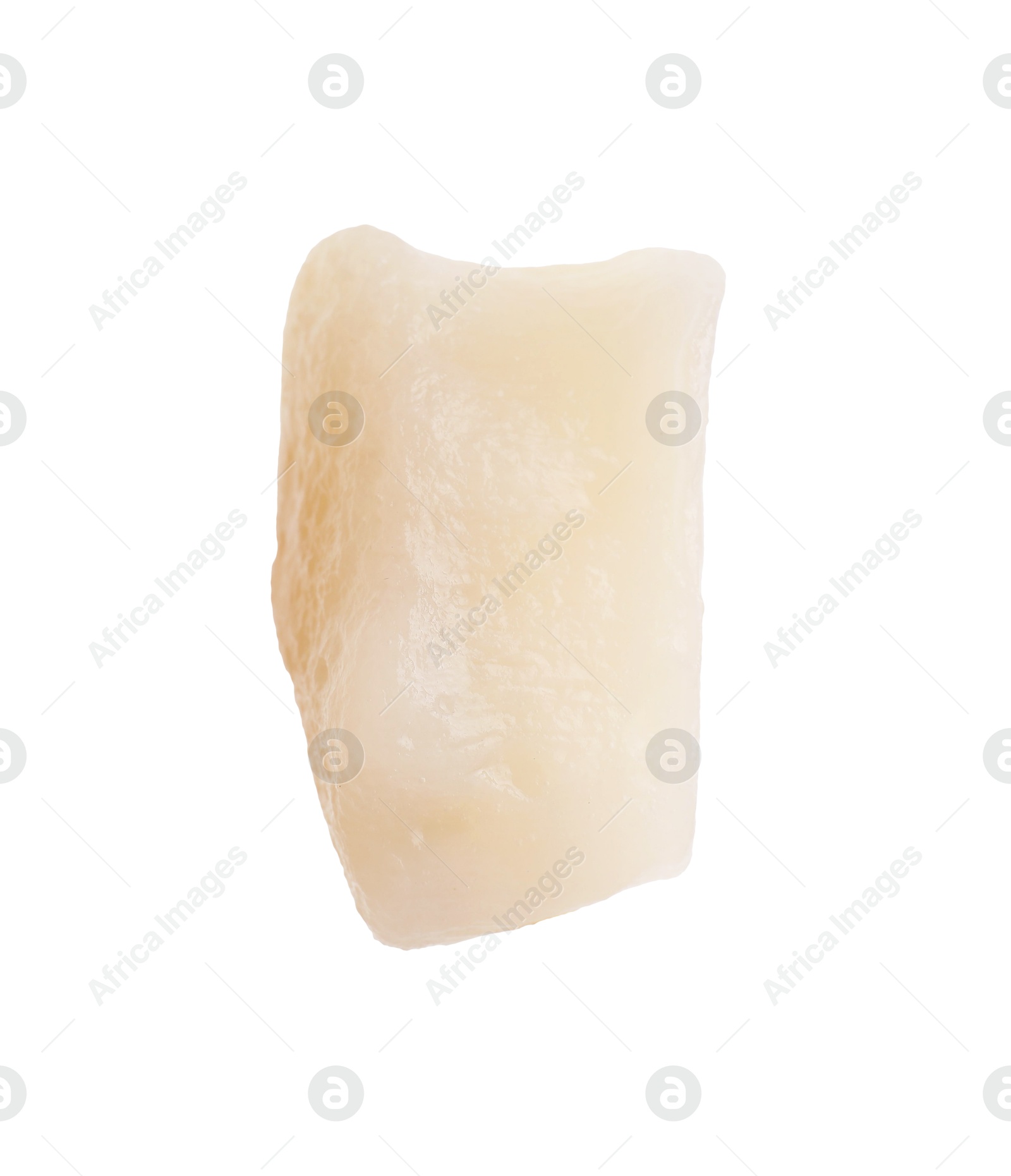 Photo of One fresh raw scallop isolated on white