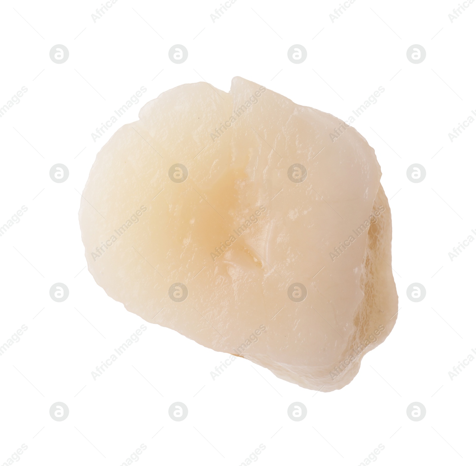 Photo of One fresh raw scallop isolated on white