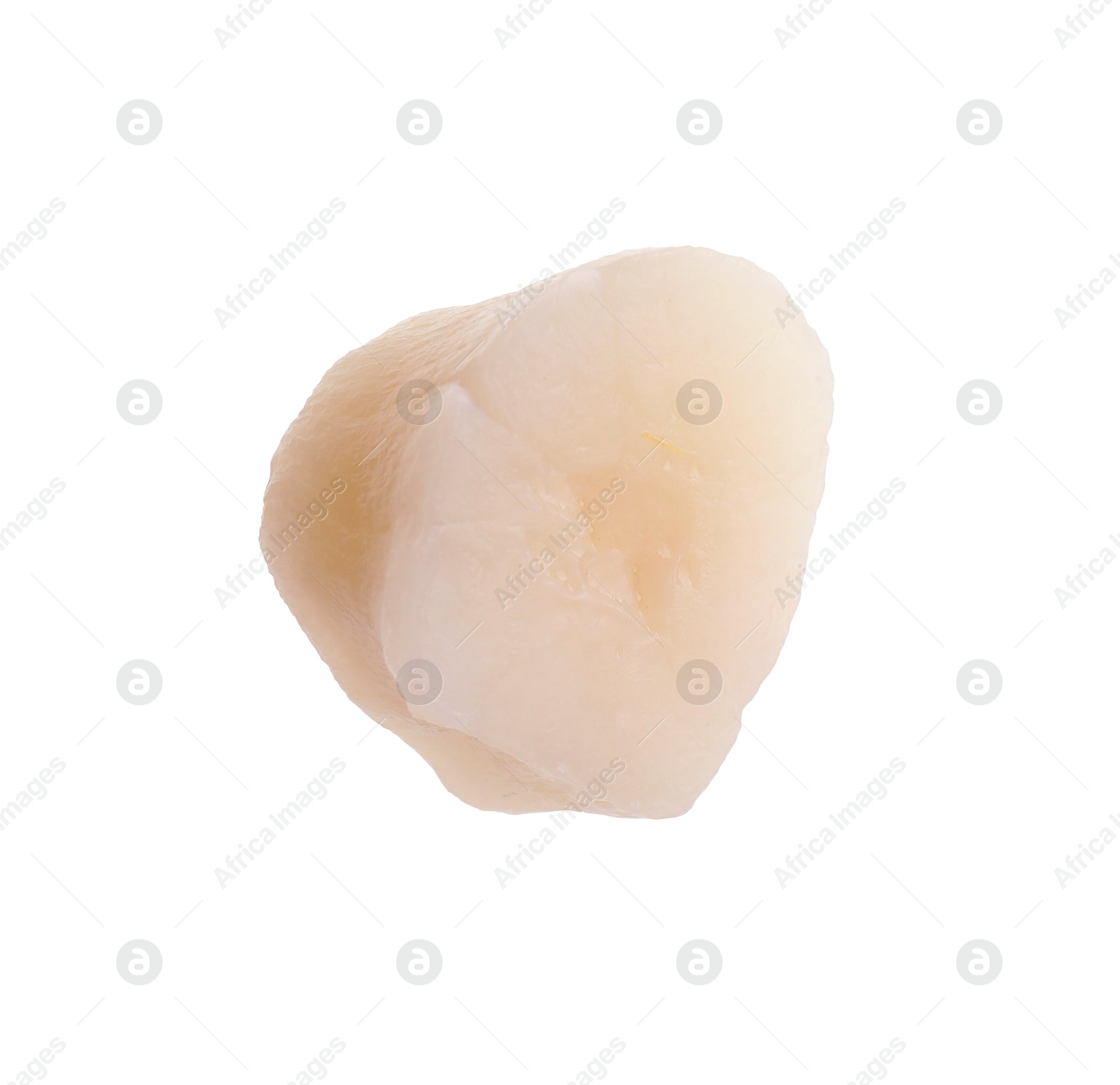 Photo of One fresh raw scallop isolated on white