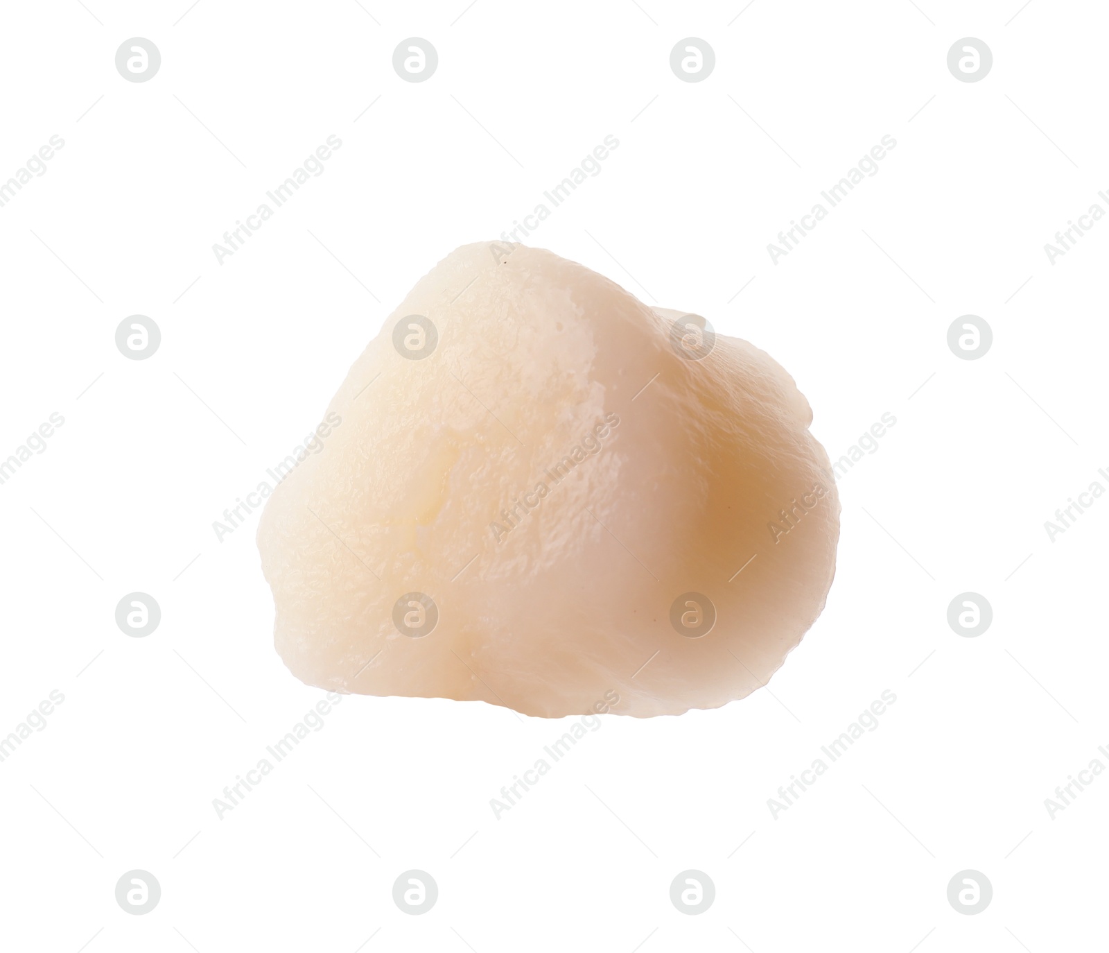 Photo of One fresh raw scallop isolated on white