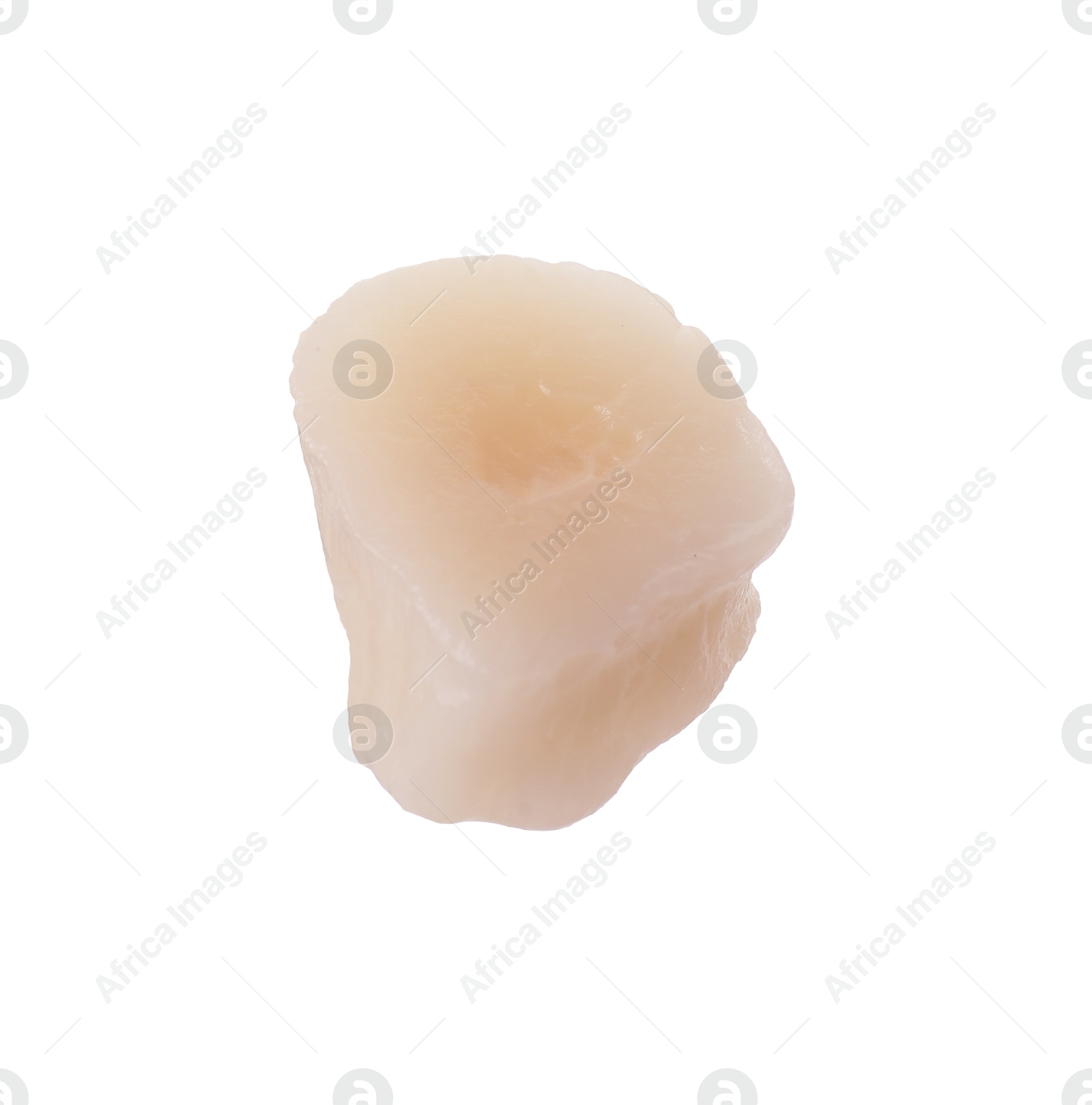 Photo of One fresh raw scallop isolated on white