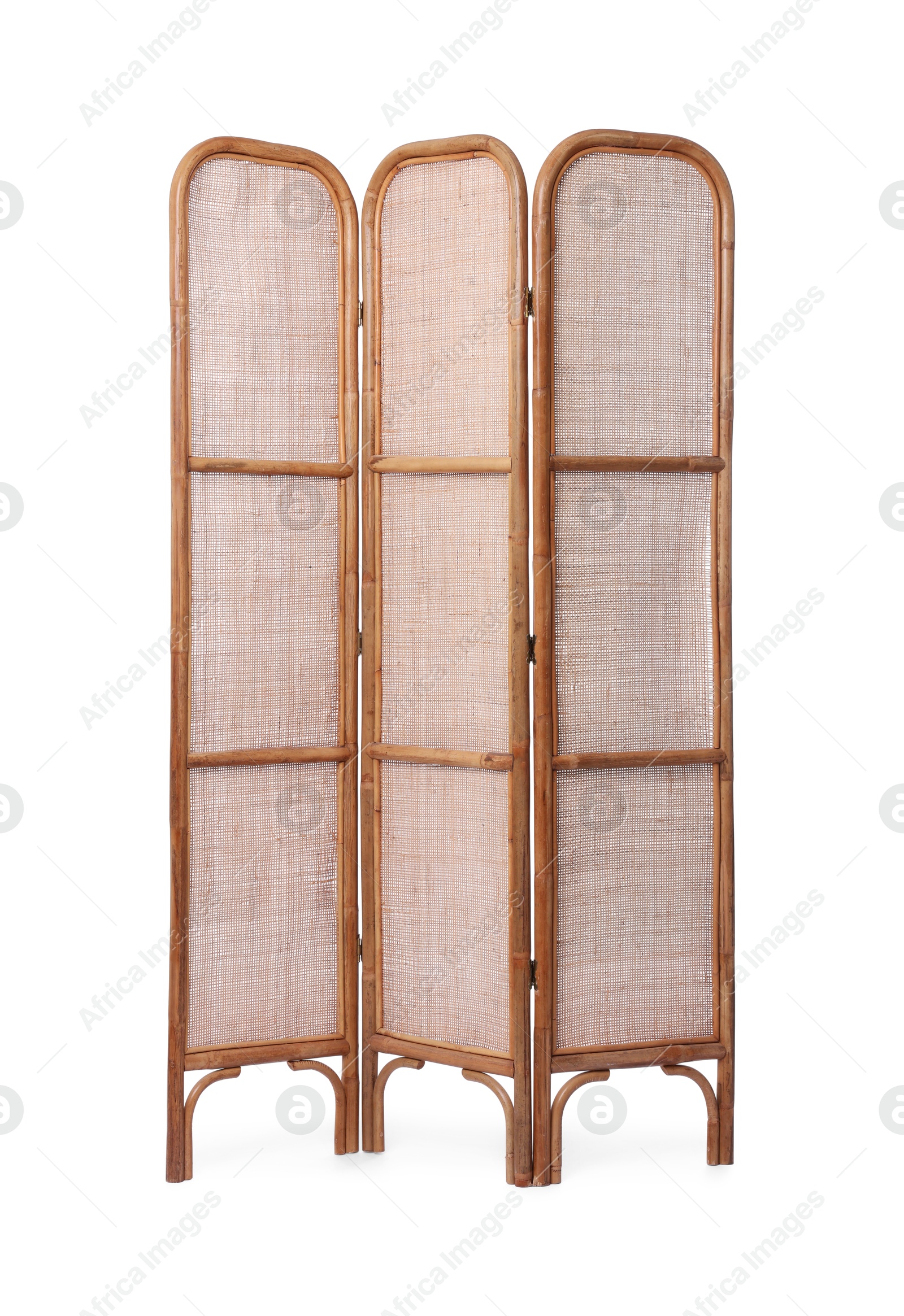 Photo of Folding screen isolated on white. Interior element