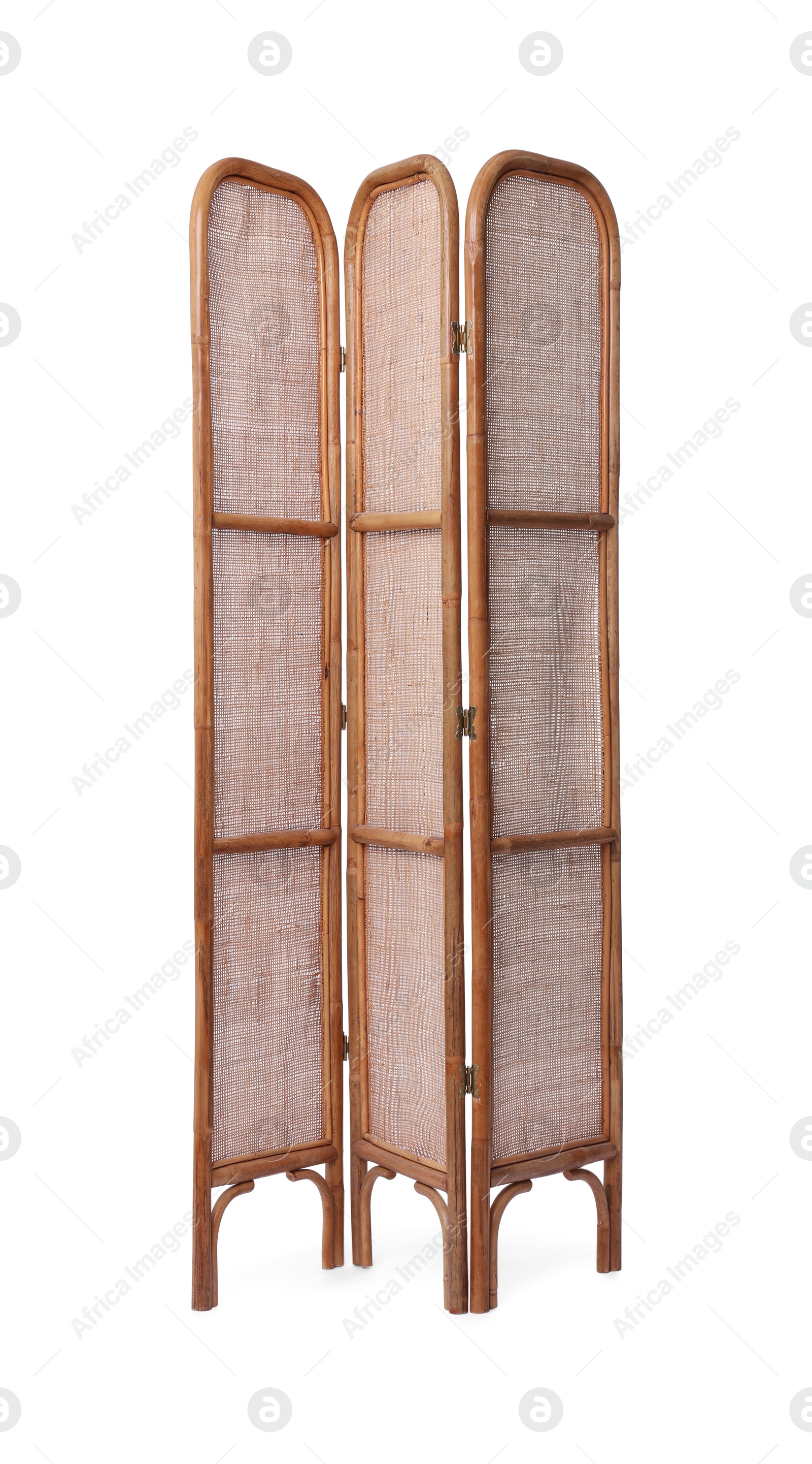 Photo of Folding screen isolated on white. Interior element