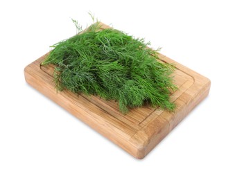 Sprigs of fresh green dill isolated on white