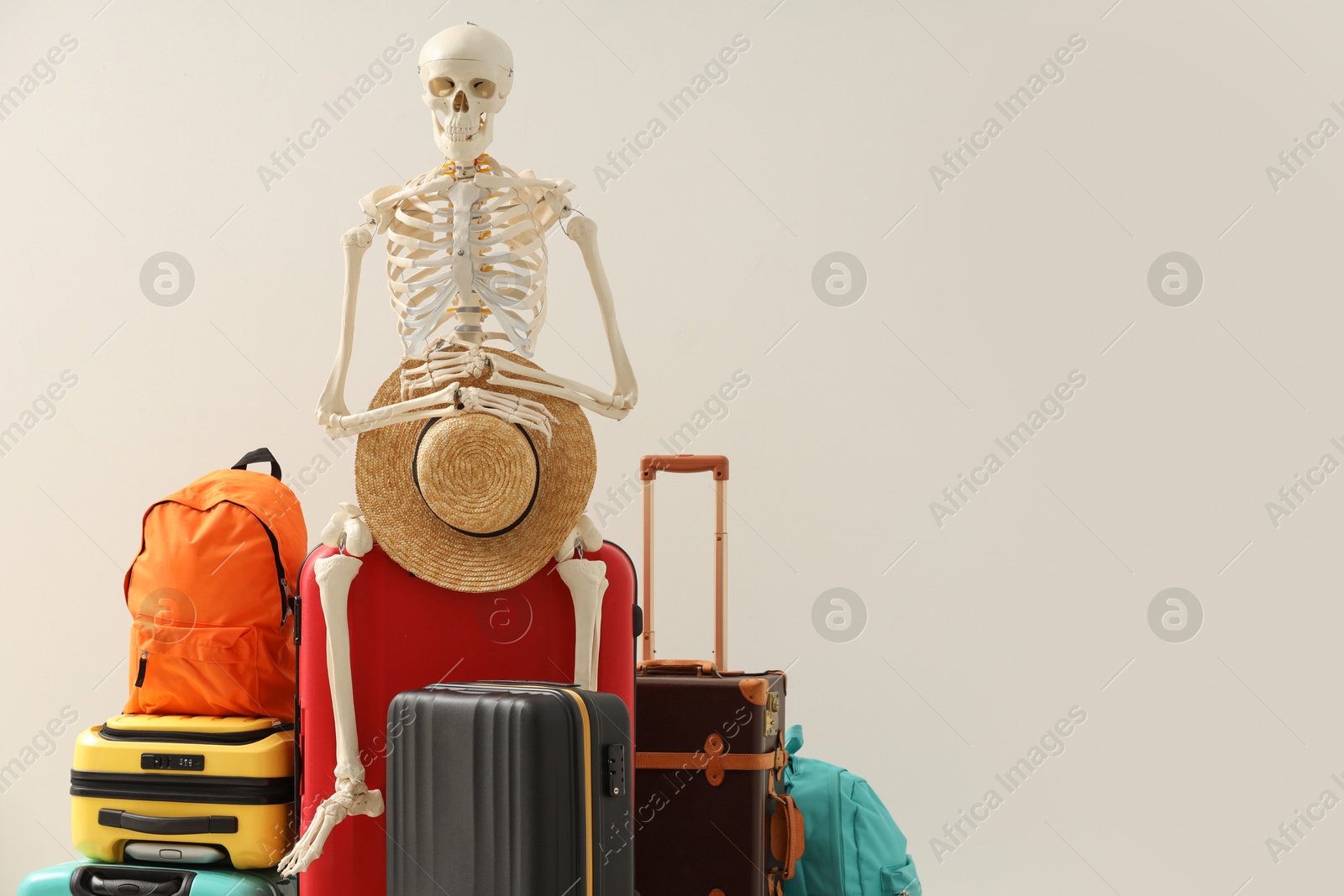 Photo of Waiting concept. Human skeleton with hat and suitcases near light wall, space for text