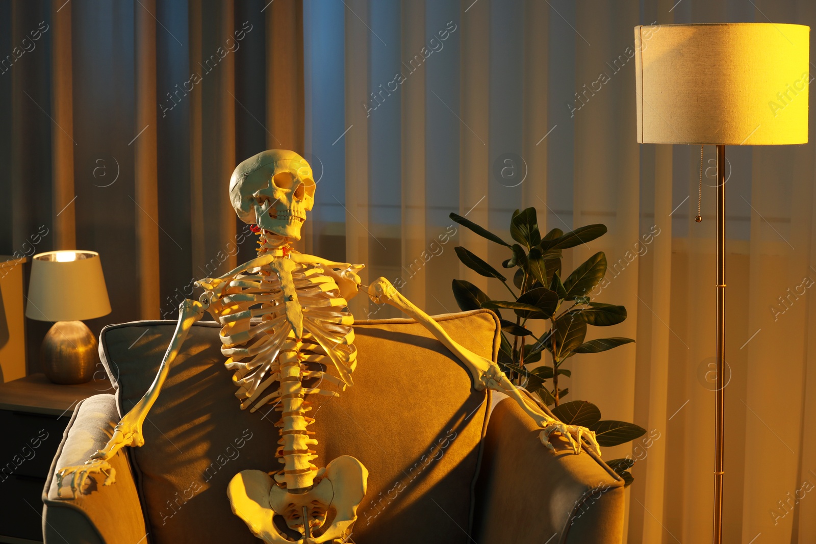 Photo of Waiting concept. Human skeleton sitting in armchair indoors