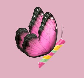 Image of Sweet candy with butterfly wings on dusty pink background, creative collage