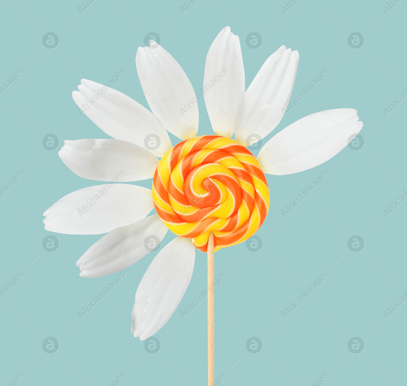 Image of Sweet lollipop with flower petals on light blue background, creative collage