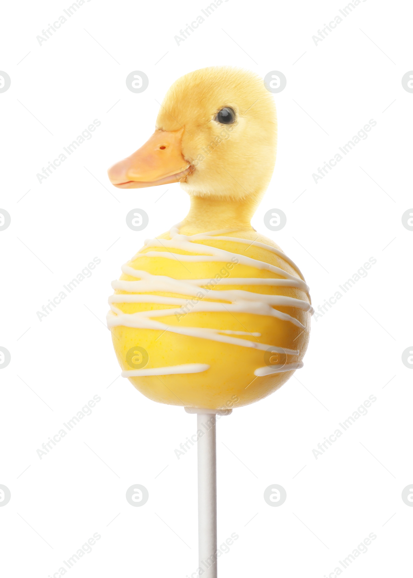 Image of Sweet cake pop with duckling head on white background. Creative collage