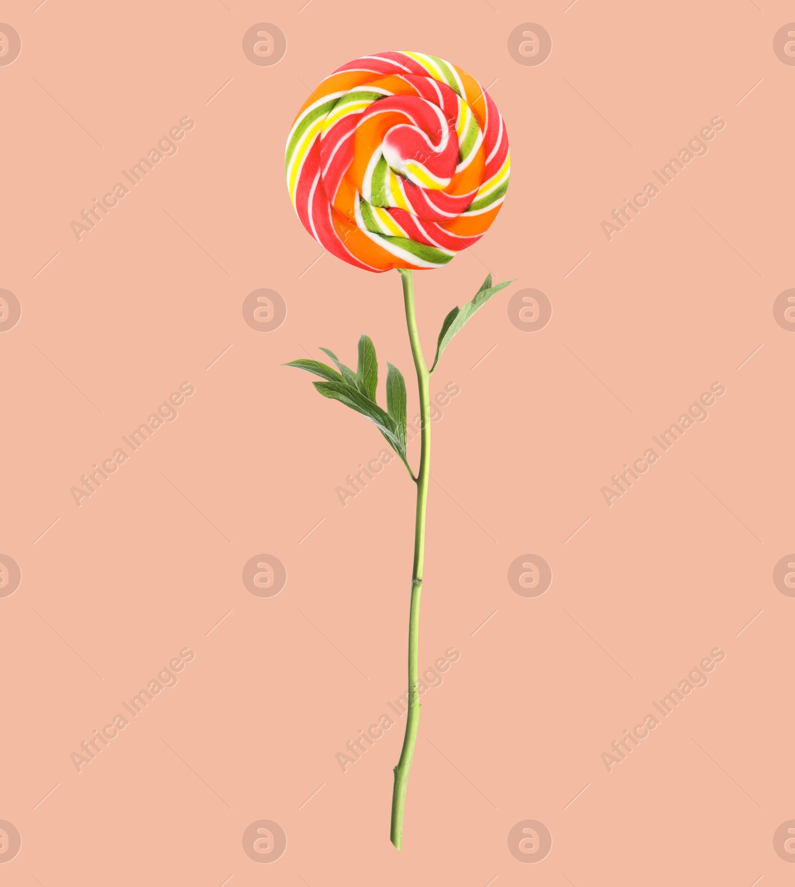 Image of Sweet candy with flower stem on dark beige background. Creative collage