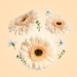 Image of Gerberas and other beautiful flowers in air on beige background