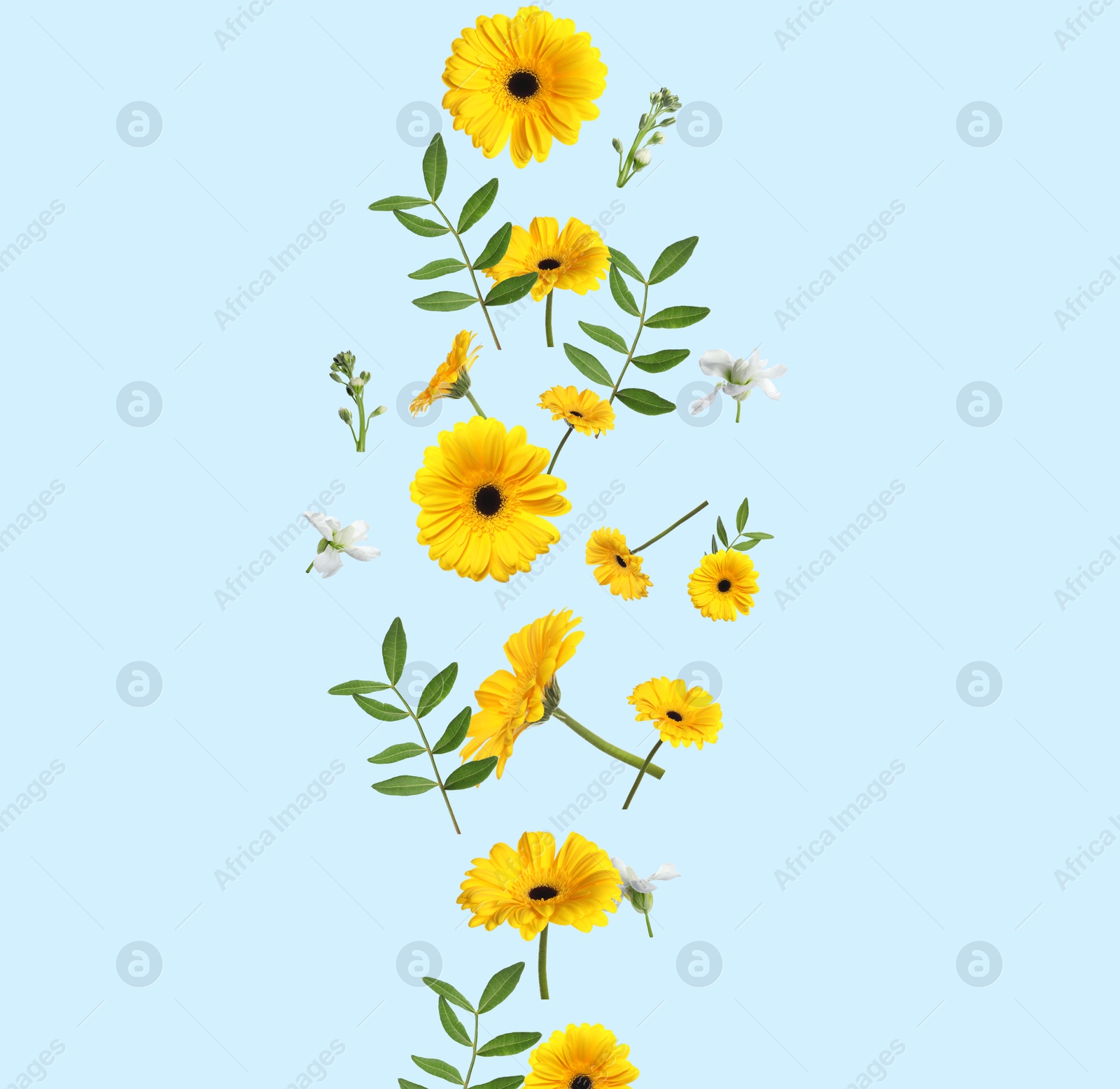 Image of Yellow gerberas and other beautiful flowers in air on light blue background