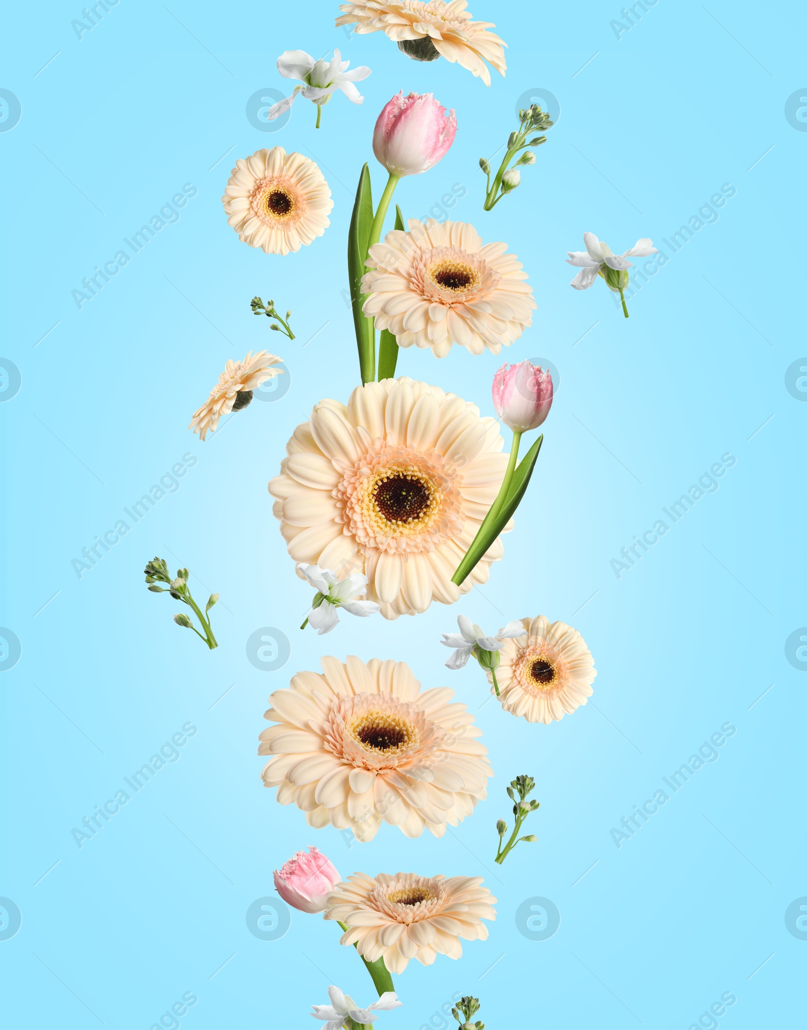 Image of Gerberas and other beautiful flowers in air on light blue background