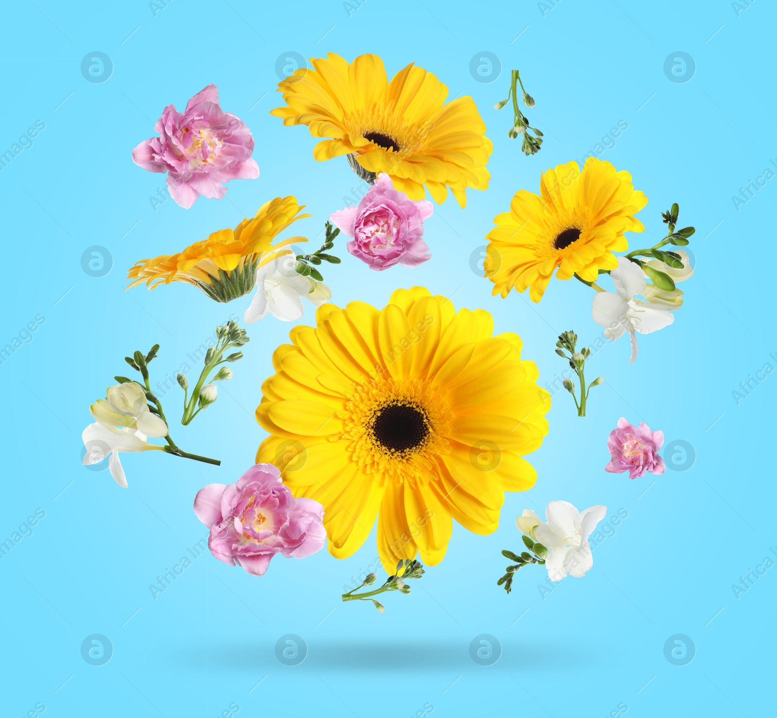 Image of Yellow gerberas and other beautiful flowers in air on light blue background