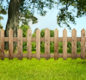 Wooden fence, tree and green grass outdoors