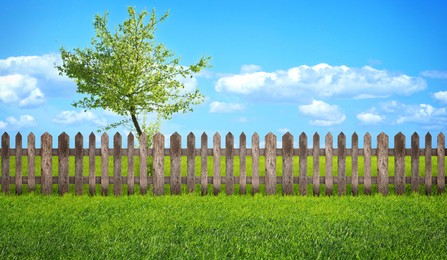 Wooden fence, tree and green grass outdoors, banner design