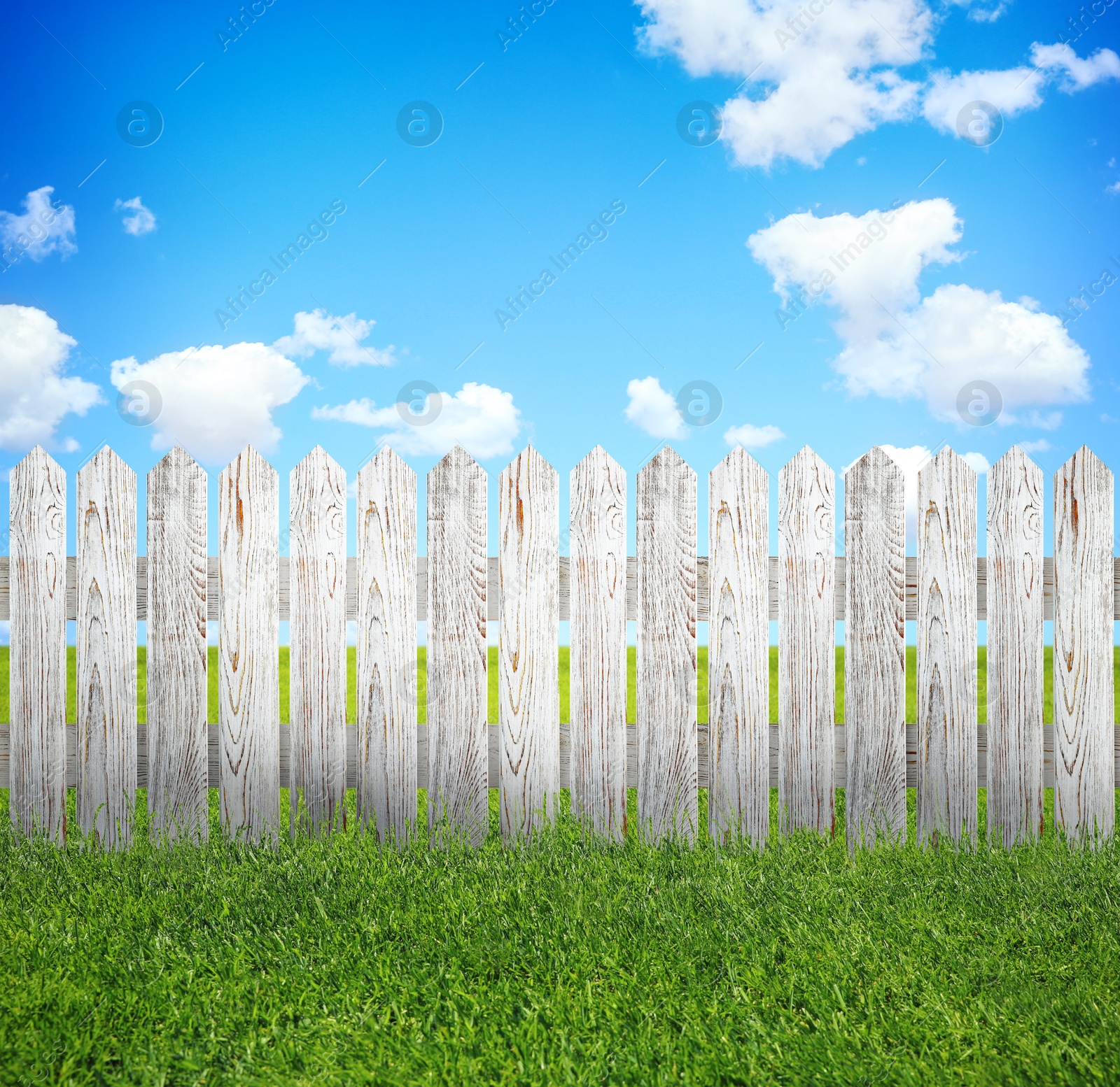 Image of Wooden fence and green grass under blue sky with clouds outdoors