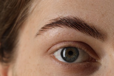 Macro photo of woman with beautiful eyes