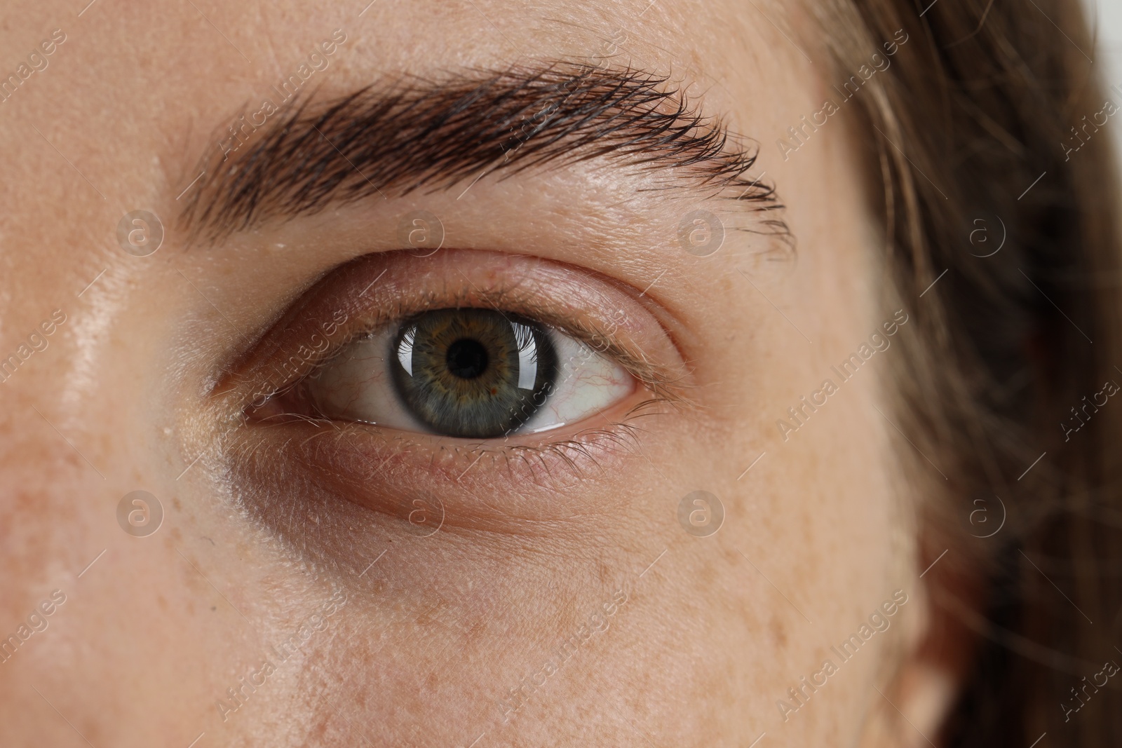 Photo of Macro photo of woman with beautiful eyes