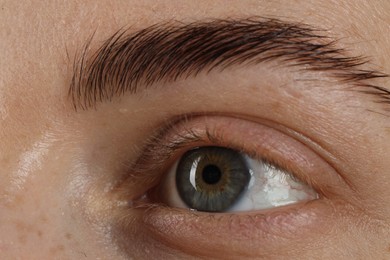 Macro photo of woman with beautiful eyes