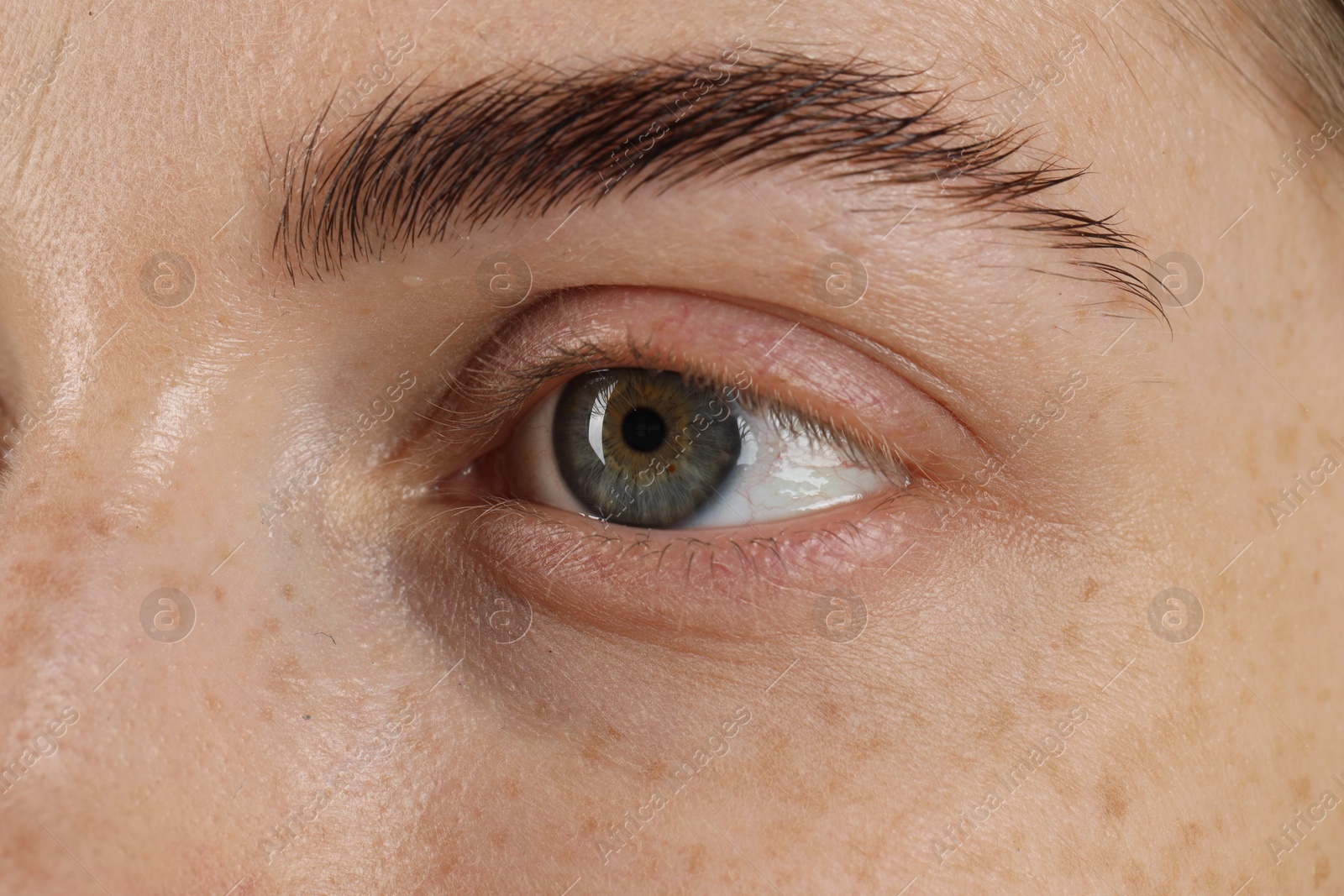 Photo of Macro photo of woman with beautiful eyes