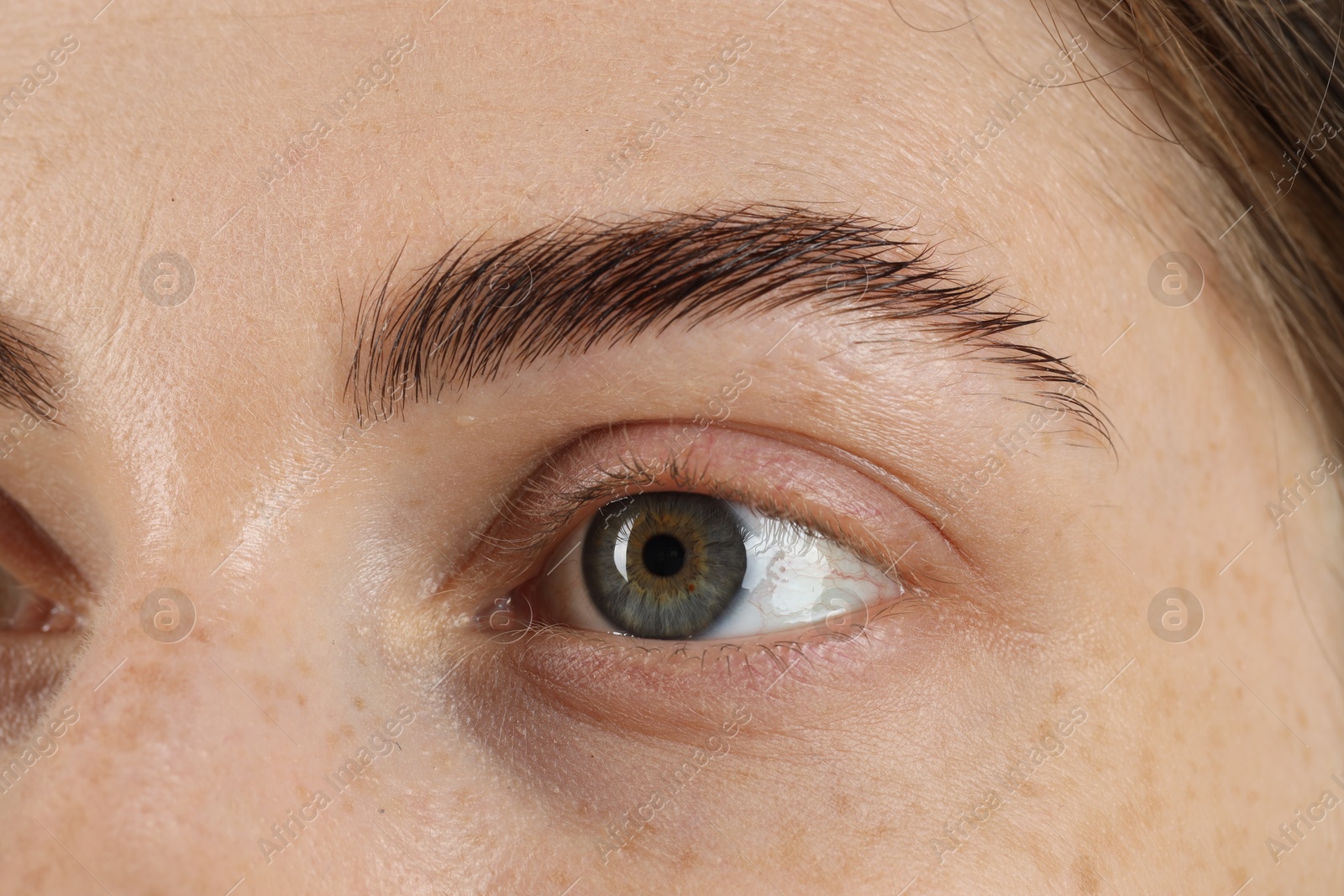 Photo of Macro photo of woman with beautiful eyes