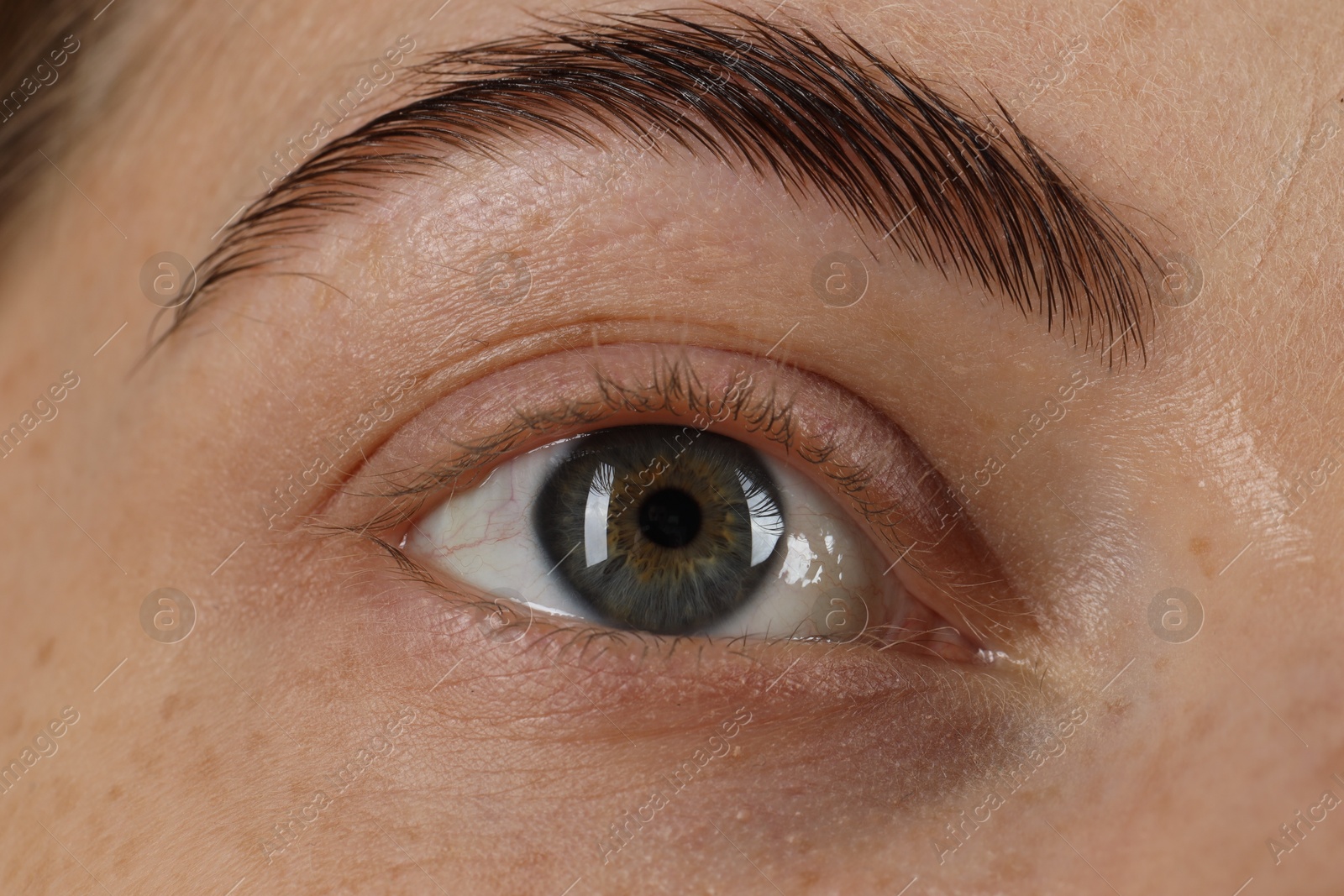 Photo of Macro photo of woman with beautiful eyes