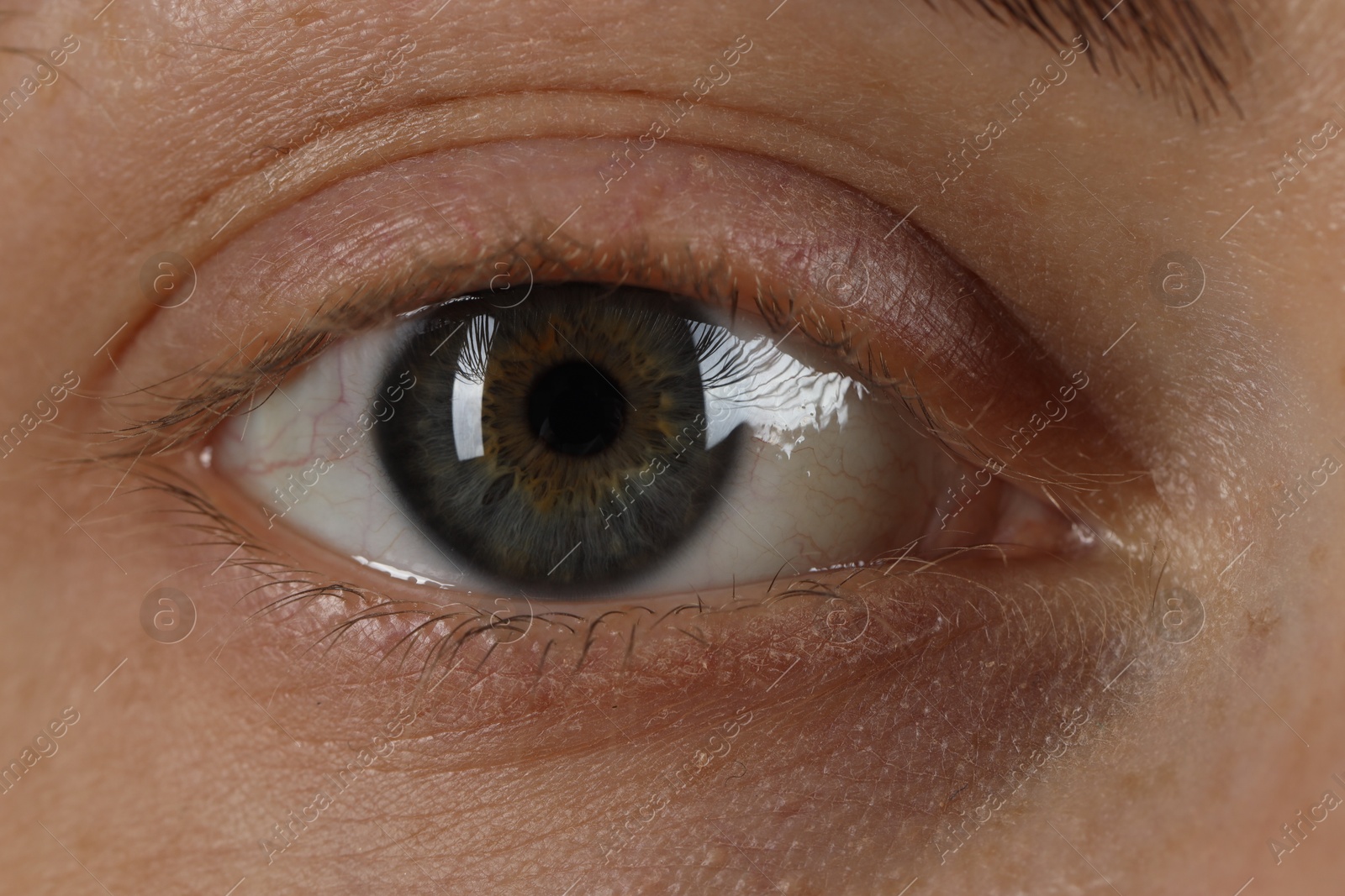 Photo of Macro photo of woman with beautiful eyes