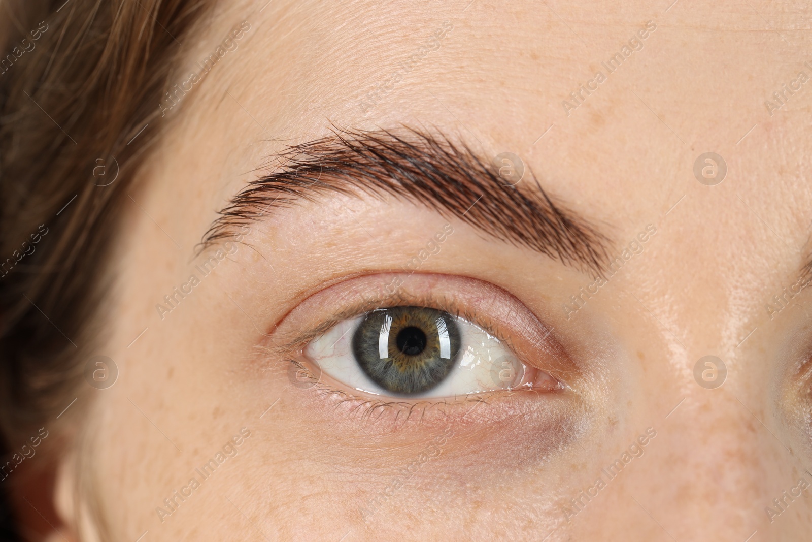 Photo of Macro photo of woman with beautiful eyes