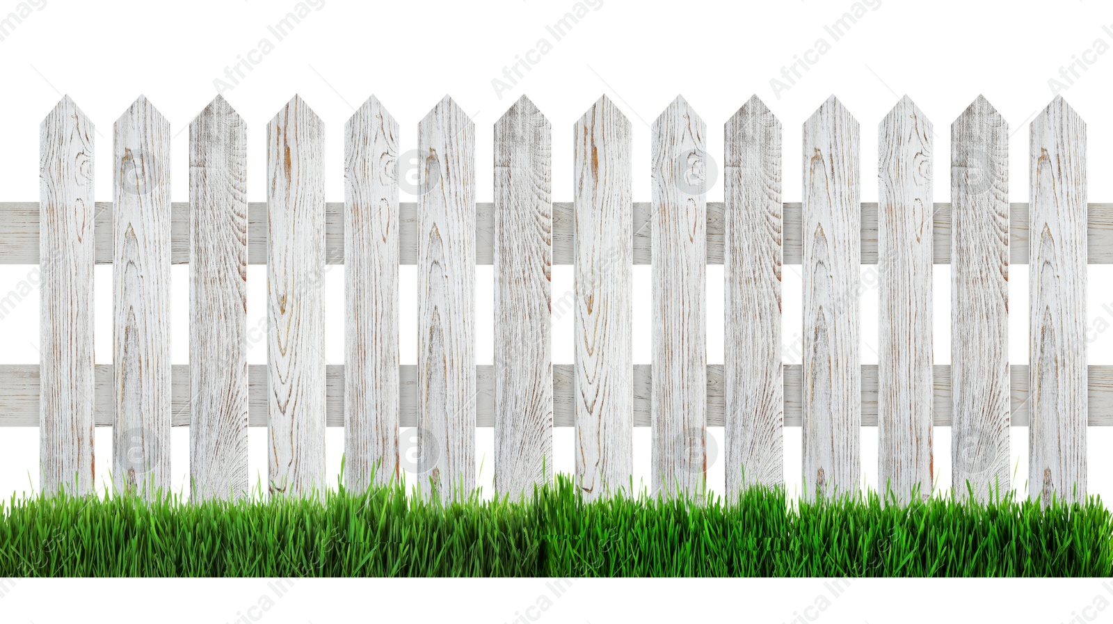 Image of Wooden fence and green grass isolated on white, banner design