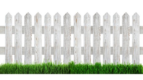 Image of Wooden fence and green grass isolated on white, banner design