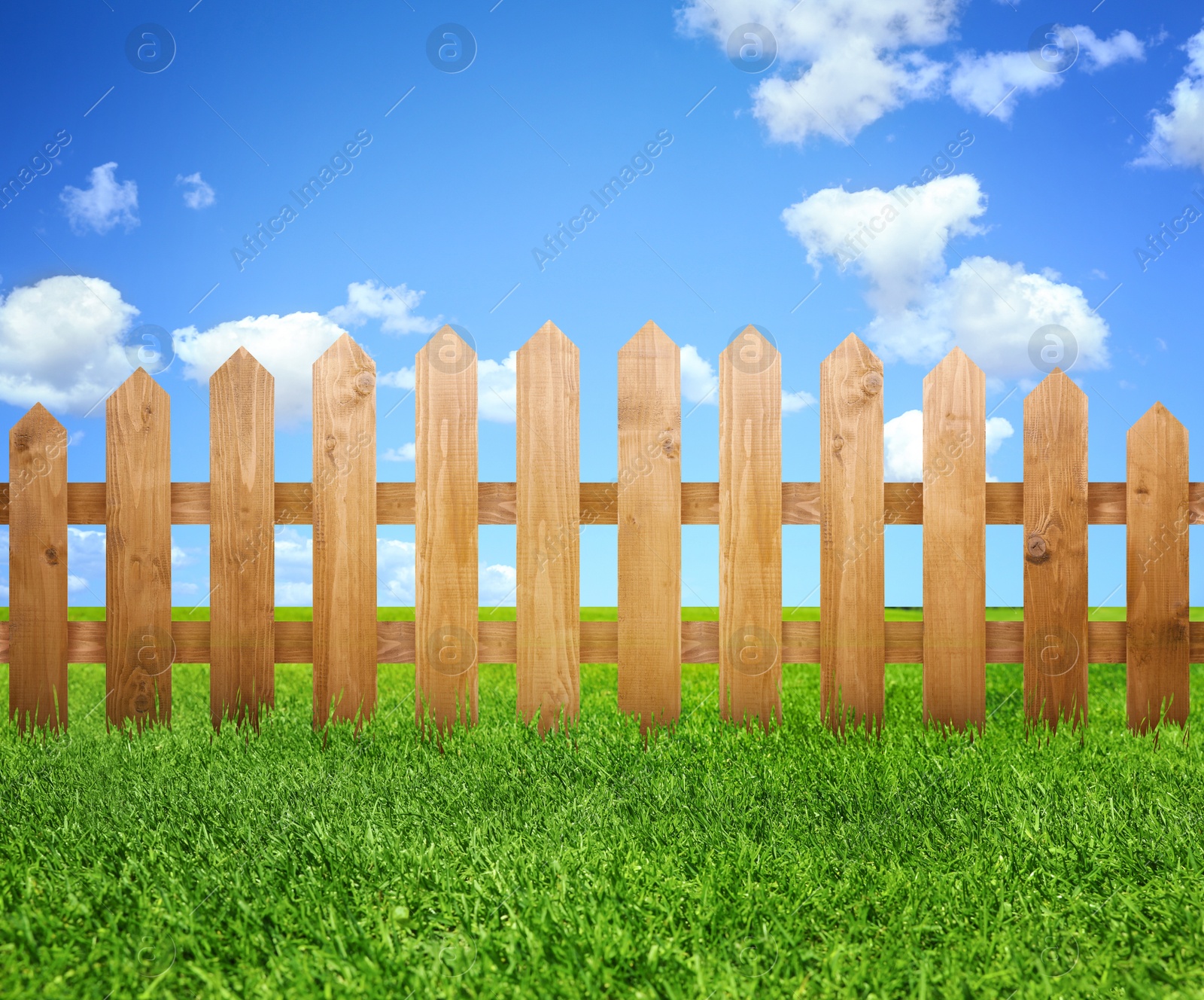 Image of Wooden fence and green grass under blue sky with clouds outdoors