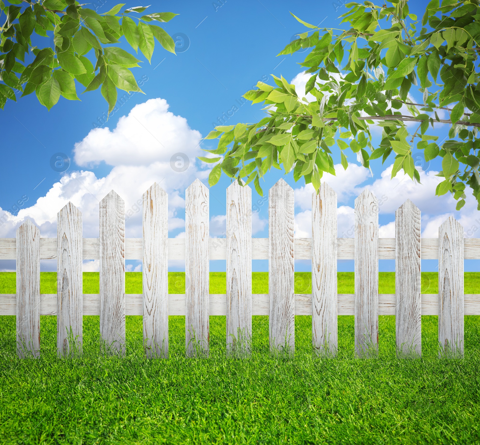 Image of Wooden fence, trees and green grass outdoors